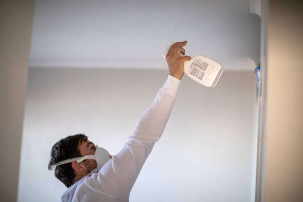Best Local Mold Removal Service  in Rk Forest Village, PA