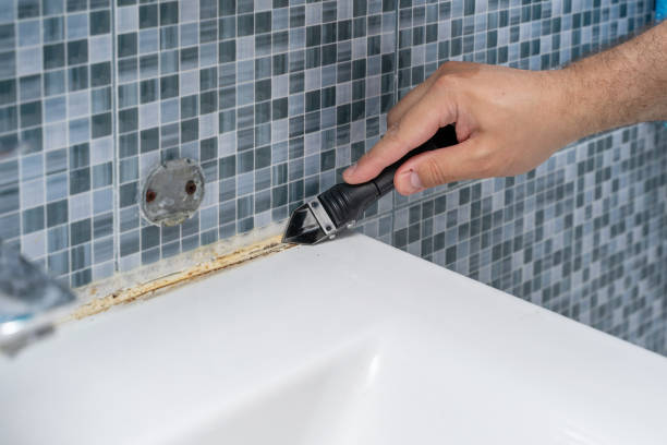 Best Professional Mold Removal  in Rk Forest Village, PA